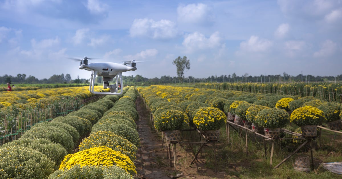 découvrez l'univers de l'agriculture, ses pratiques durables, ses innovations technologiques et son impact sur notre environnement. explorez les différentes cultures, les enjeux alimentaires et les tendances qui façonnent le futur de l'agriculture.