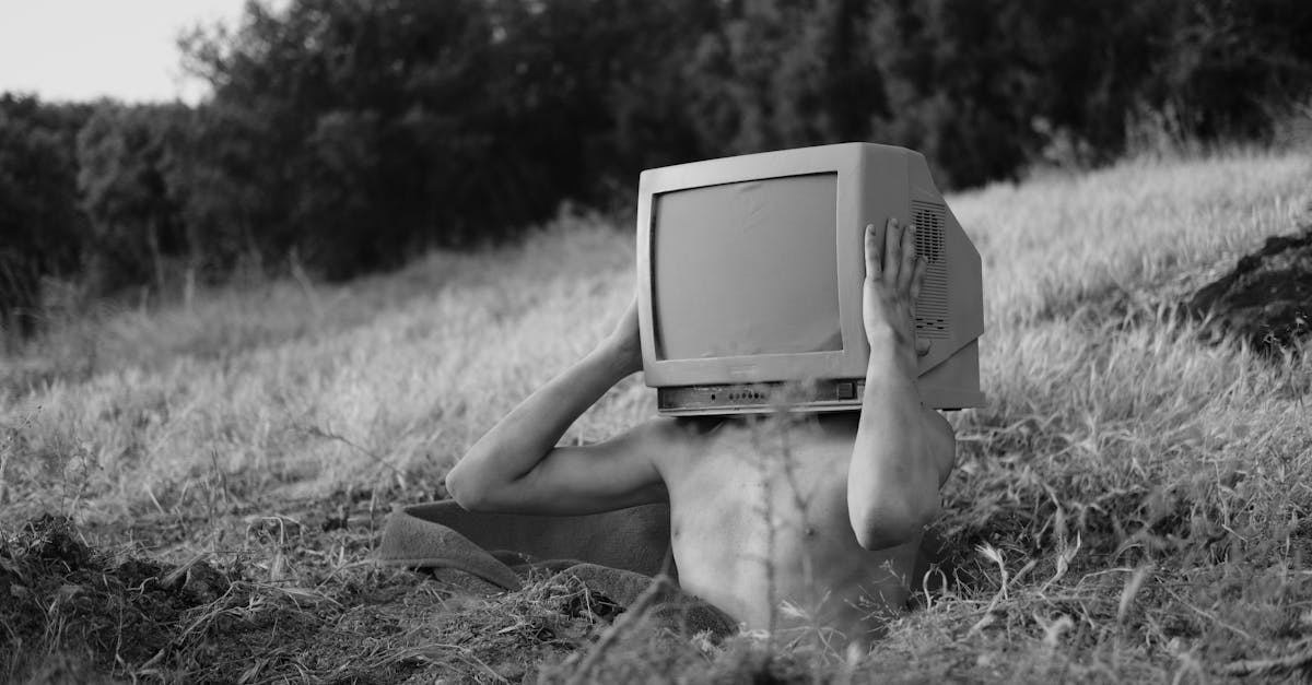 découvrez des alternatives innovantes et variées pour améliorer votre quotidien. que ce soit dans le domaine des produits, des services ou des idées, explorez des options qui correspondent à vos besoins et à vos valeurs.