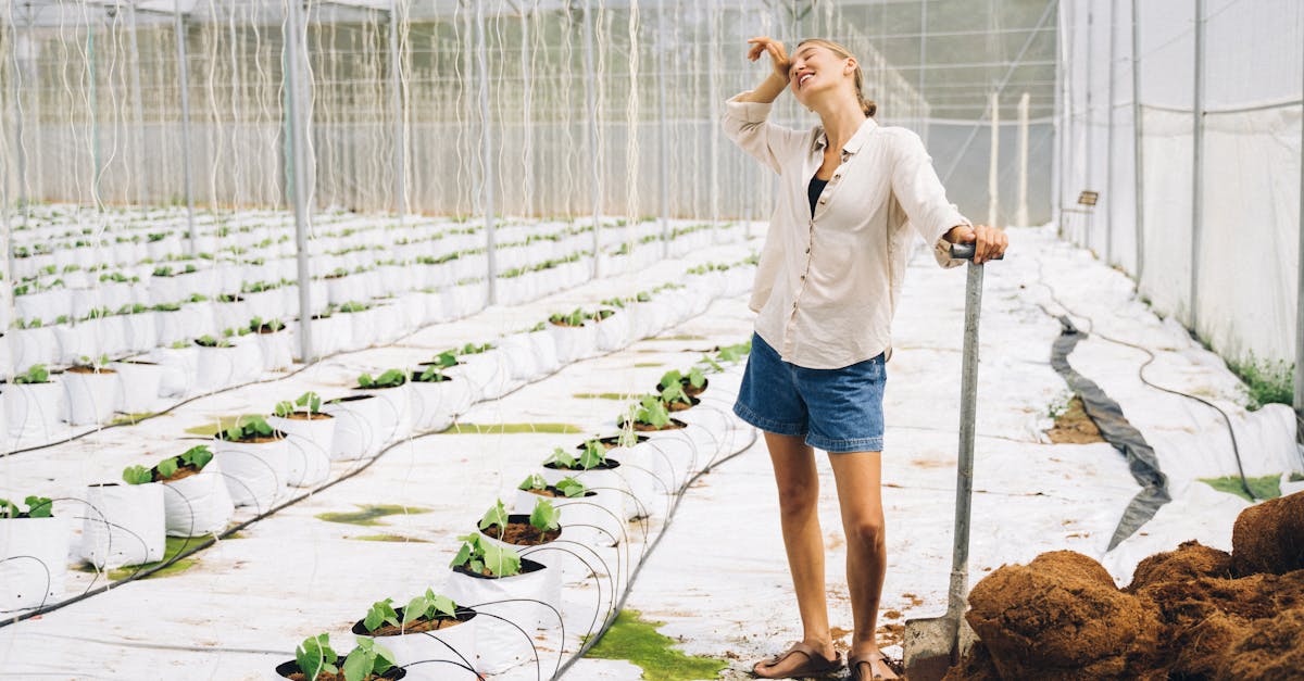 découvrez l'aquaponie, une méthode innovante et durable alliant aquaculture et culture de plantes. apprenez à cultiver vos propres légumes tout en élevant des poissons, dans un écosystème équilibré et respectueux de l'environnement. plongez dans le monde fascinant de l'aquaponie pour une agriculture moderne et éco-responsable.