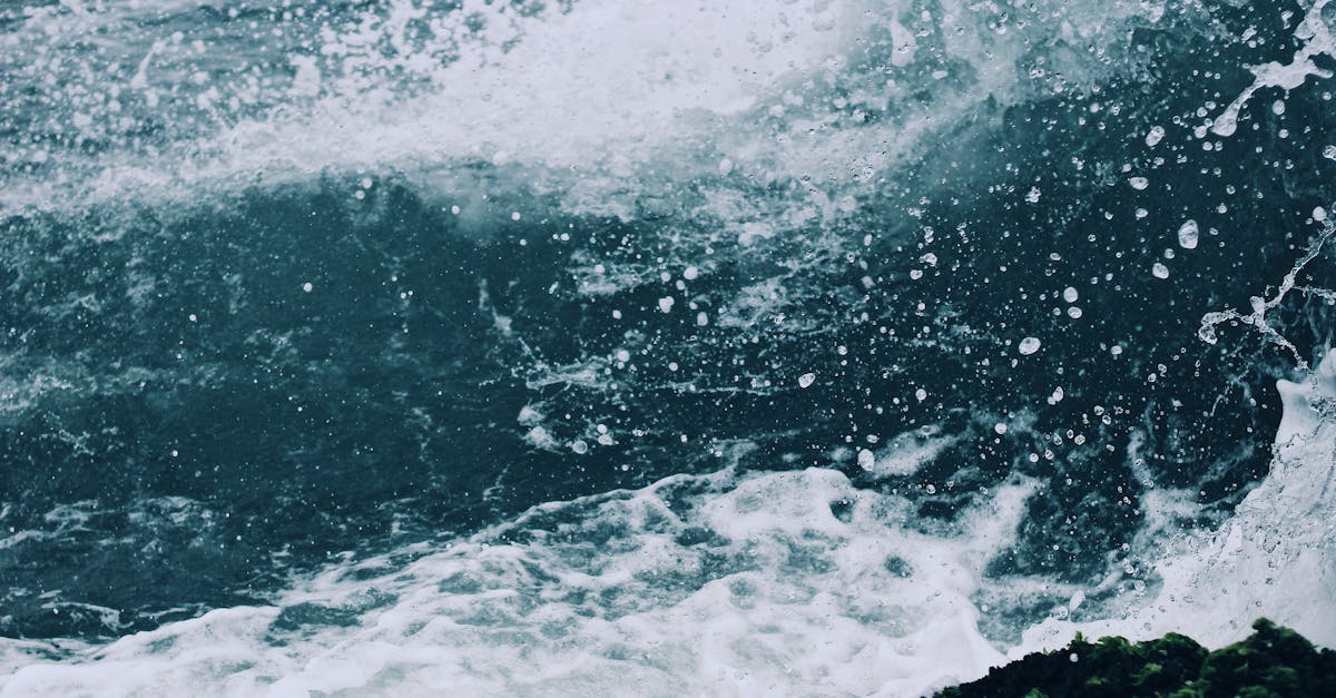 découvrez les éléments aquatiques essentiels qui enrichissent nos écosystèmes et notre vie quotidienne. explorez la beauté des océans, des rivières et des lacs, et apprenez comment ces éléments influencent notre environnement et notre bien-être.