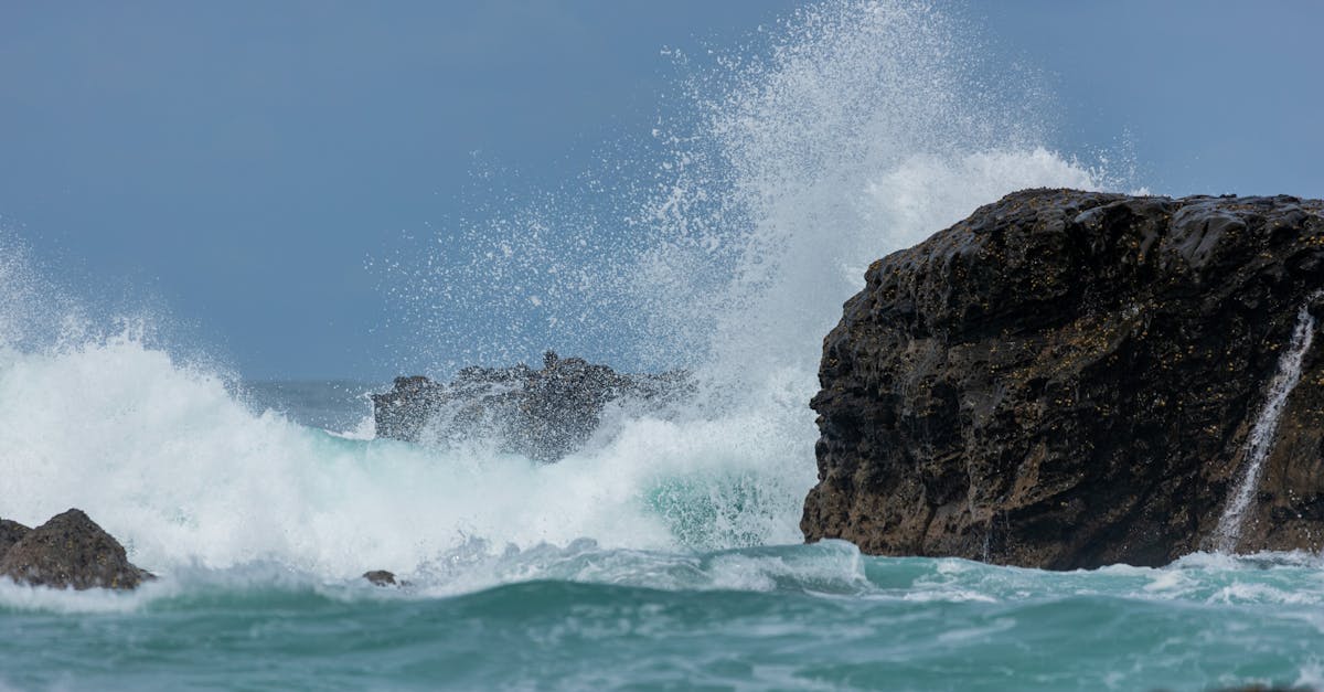 découvrez les éléments aquatiques qui enrichissent notre environnement, de la faune marine aux écosystèmes aquatiques. explorez leur importance pour la biodiversité et les défis de conservation auxquels ils font face. plongez dans l'univers fascinant des éléments aquatiques et leur impact sur notre planète.