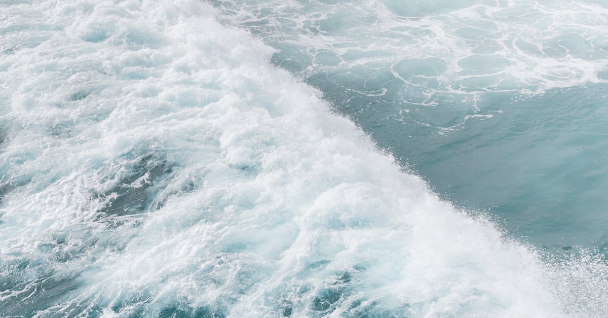 découvrez les éléments aquatiques, un monde fascinant où la beauté et la biodiversité se rencontrent. plongez dans l'exploration des écosystèmes marins, des créatures aquatiques et des éléments essentiels qui composent notre environnement aquatique.