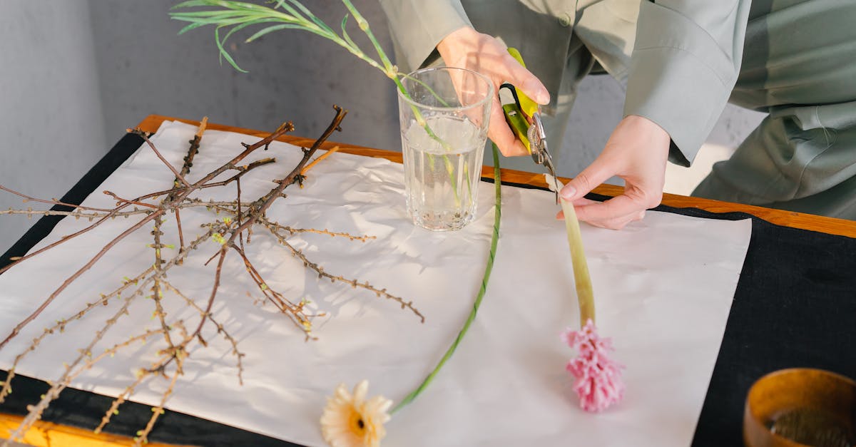 découvrez notre sélection d'outils de jardinage bio, conçus pour cultiver votre jardin de manière écologique et durable. optez pour des outils respectueux de l'environnement qui garantissent des récoltes saines et naturelles.