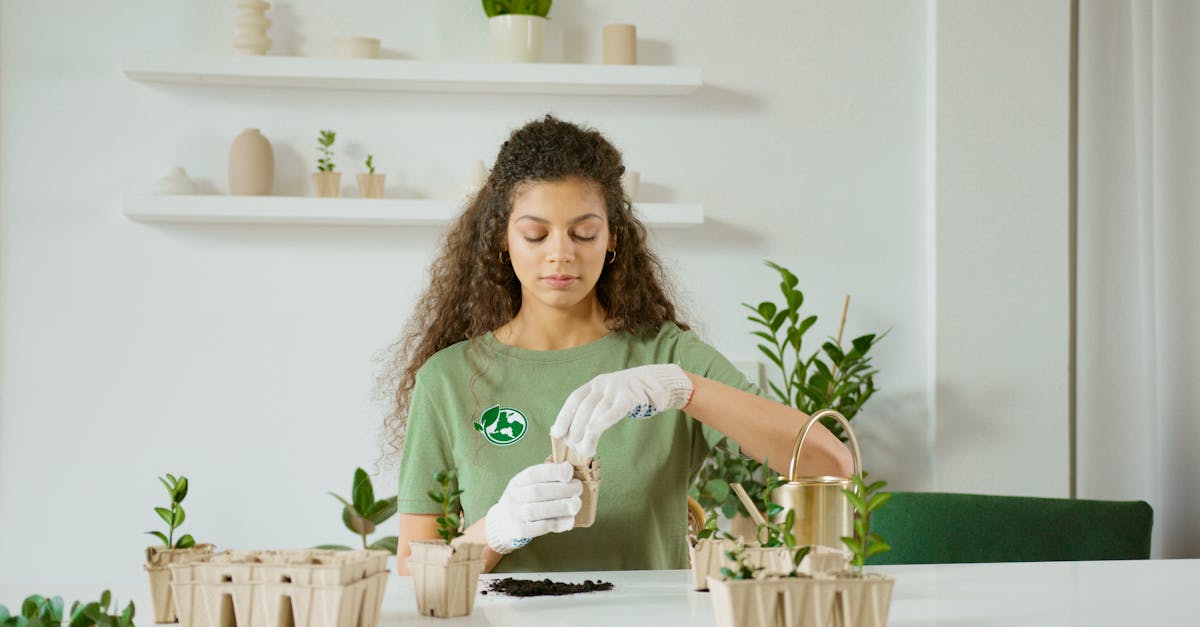 découvrez notre gamme d'outils de jardinage bio, conçus pour cultiver votre jardin de manière écologique. optez pour des solutions durables et respectueuses de l'environnement pour tous vos travaux de jardinage.