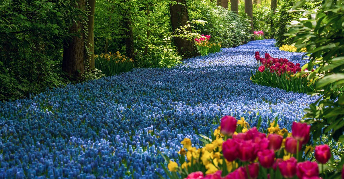 découvrez le jardinage biodynamique, une méthode de culture respectueuse de l'environnement qui favorise la santé des sols et des plantes. apprenez à harmoniser votre jardin avec les cycles naturels, à utiliser des préparations biodynamiques et à recréer un écosystème sain pour des récoltes abondantes et nutritives.