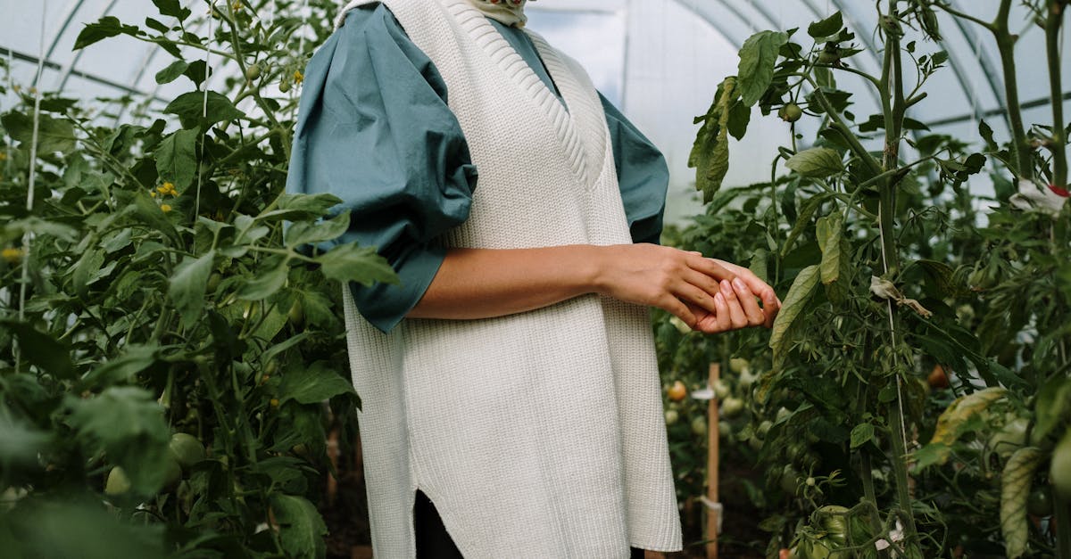découvrez le jardinage biologique, une approche eco-responsable qui favorise la biodiversité et la santé des plantes tout en respectant l'environnement. apprenez des techniques naturelles pour cultiver votre potager, enrichir votre sol et protéger vos cultures des nuisibles sans produits chimiques.