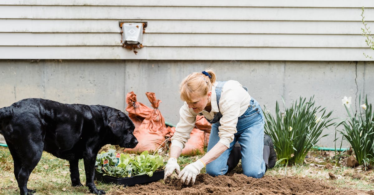 découvrez l'art du compagnonnage végétal, une méthode de jardinage qui maximise la croissance des plantes en les associant de manière harmonieuse. apprenez à choisir les bonnes associations pour un jardin productif et sain.