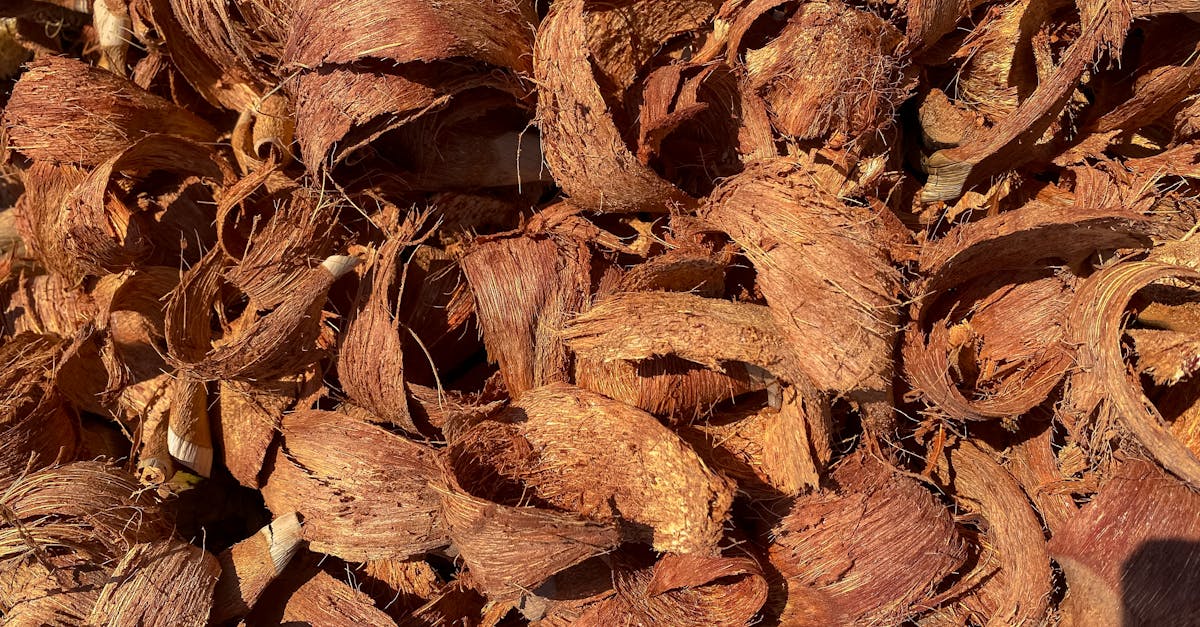 découvrez le compostage, une méthode écologique pour recycler vos déchets organiques et enrichir votre sol. apprenez les techniques et les bénéfices de cette pratique durable pour jardiner tout en préservant l'environnement.