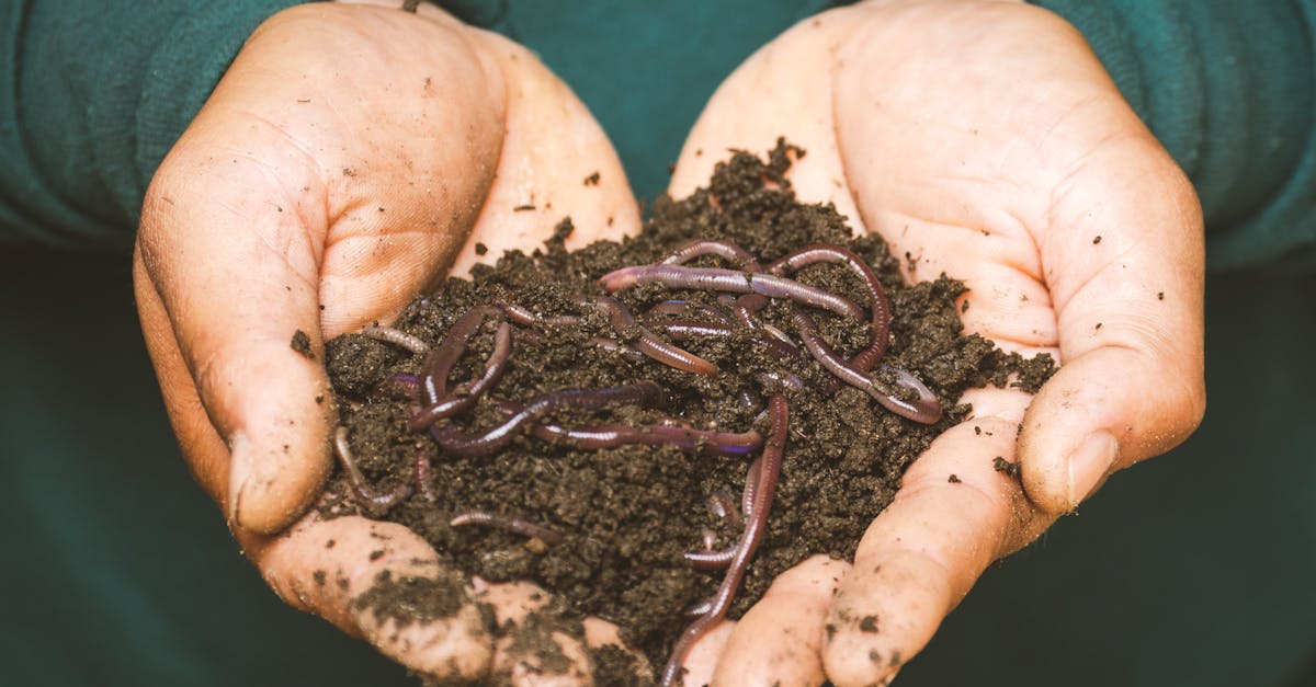 découvrez l'art du compostage, une méthode écologique pour recycler vos déchets organiques et enrichir votre jardin. apprenez comment transformer vos restes alimentaires et déchets de jardin en un compost nutritif qui nourrira vos plantes et réduira votre empreinte carbone.