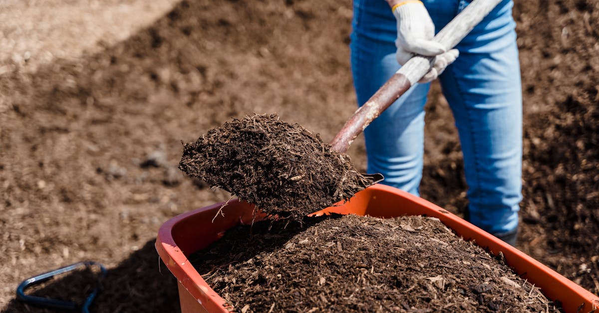 découvrez l'art du compostage, une pratique écologique qui transforme vos déchets organiques en terreau fertile pour votre jardin. apprenez les techniques pour réduire vos déchets ménagers, enrichir votre sol et contribuer à l'environnement de manière durable.