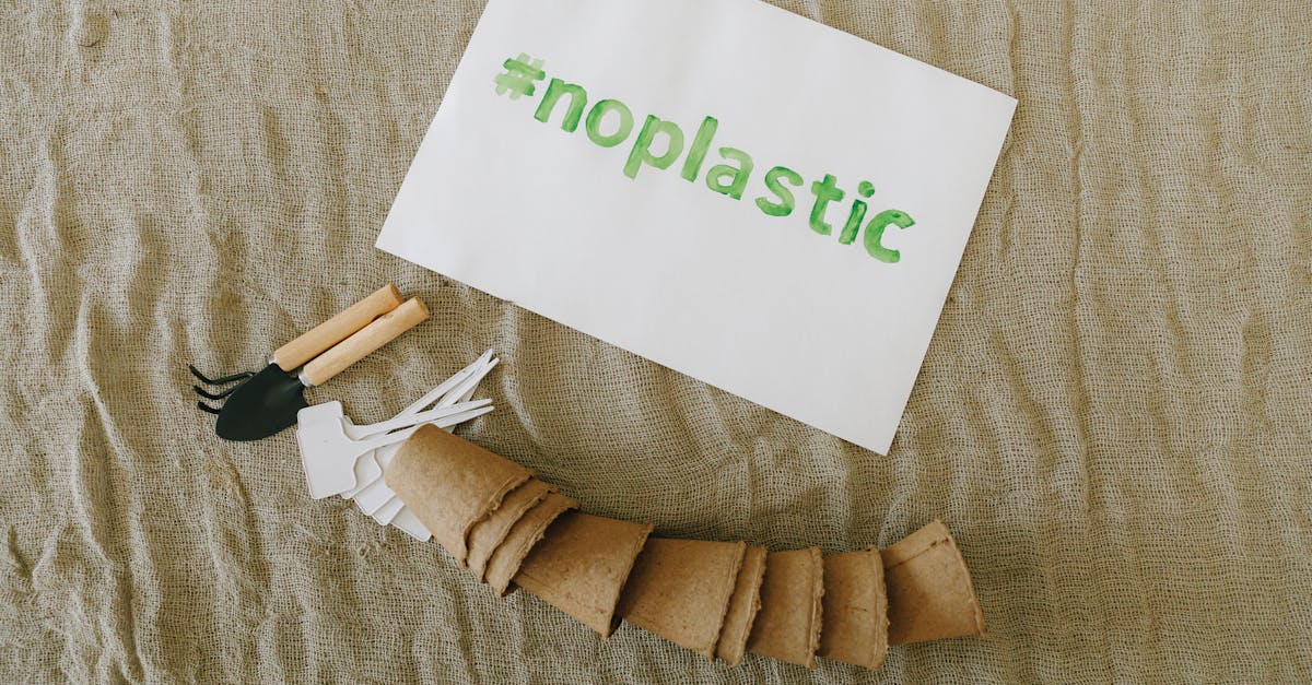 découvrez l'art du compostage, une méthode écologique pour recycler vos déchets organiques et transformer votre jardin en un véritable écosystème. apprenez à créer un compost riche en nutriments pour vos plantes tout en réduisant votre empreinte carbone.