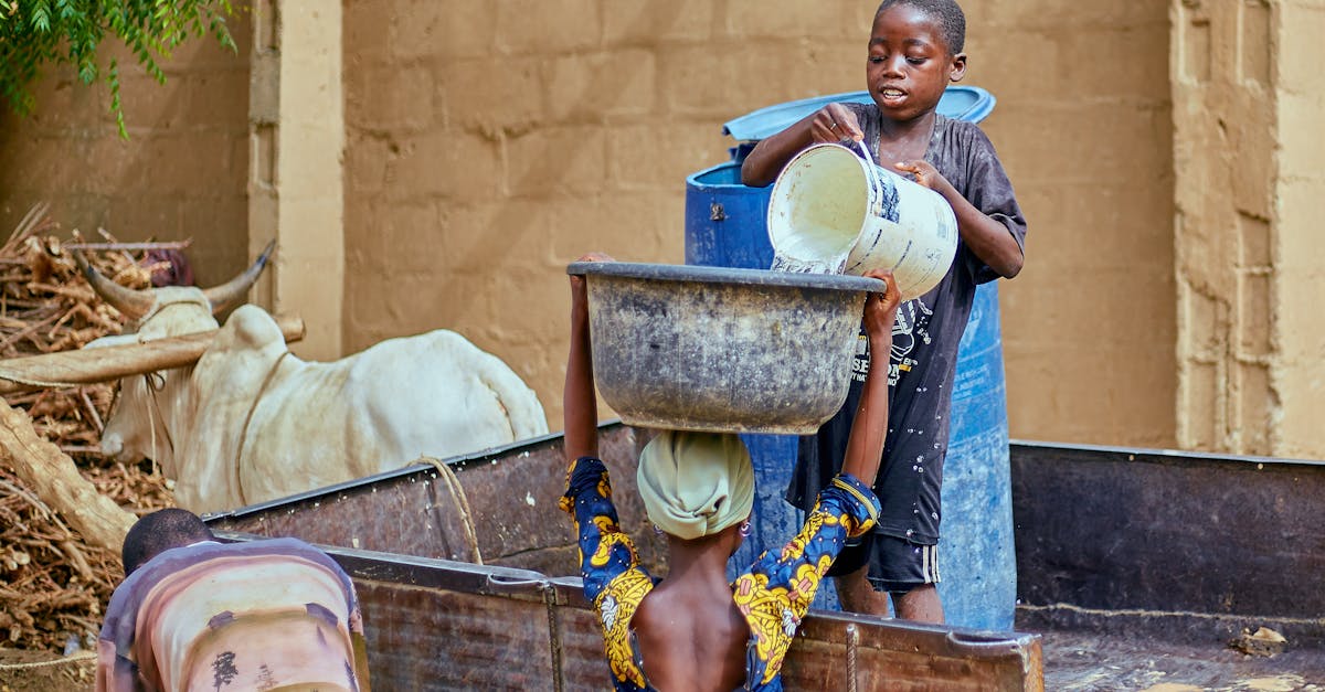 découvrez le monde des coopératives, des structures économiques innovantes favorisant la solidarité, l'entraide et la participation citoyenne. explorez comment elles contribuent à un développement durable et à une économie équitable.