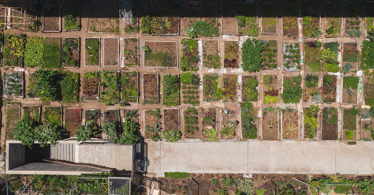 la rotation des cultures est une pratique agricole essentielle qui améliore la santé des sols, optimise la biodiversité et augmente les rendements. découvrez comment cette méthode durable contribue à une agriculture plus respectueuse de l'environnement et assure une production alimentaire durable.
