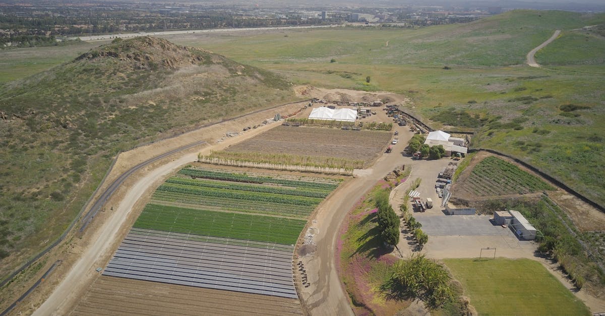 découvrez l'importance de la rotation des cultures pour améliorer la santé des sols, augmenter les rendements agricoles et promouvoir une agriculture durable. apprenez comment diversifier vos cultures pour lutter contre les nuisibles et optimiser l'utilisation des nutriments.