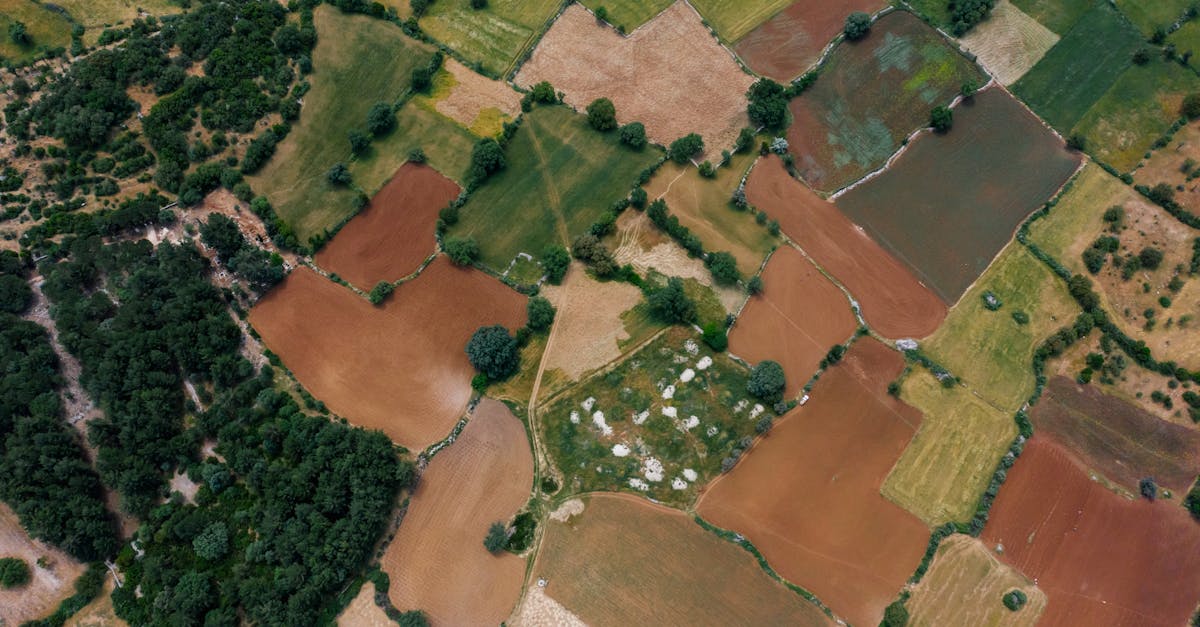 la rotation des cultures est une pratique agricole essentielle qui consiste à alterner les types de cultures sur une parcelle pour améliorer la santé du sol, optimiser les rendements et réduire les maladies et nuisibles. découvrez les avantages de cette méthode pour une agriculture durable.
