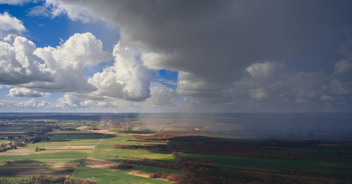 découvrez l'importance de la rotation des cultures pour améliorer la santé des sols, optimiser les rendements agricoles et réduire les maladies des plantes. adoptez des pratiques durables pour une agriculture plus résiliente.