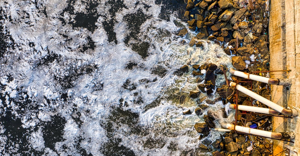 découvrez les techniques de drainage pour améliorer la gestion de l'eau dans votre jardin ou votre terrain. optimisez la santé de vos plantes et prévenez les problèmes d'humidité grâce à nos conseils pratiques et astuces. apprenez à maîtriser le drainage pour un environnement sain et durable.