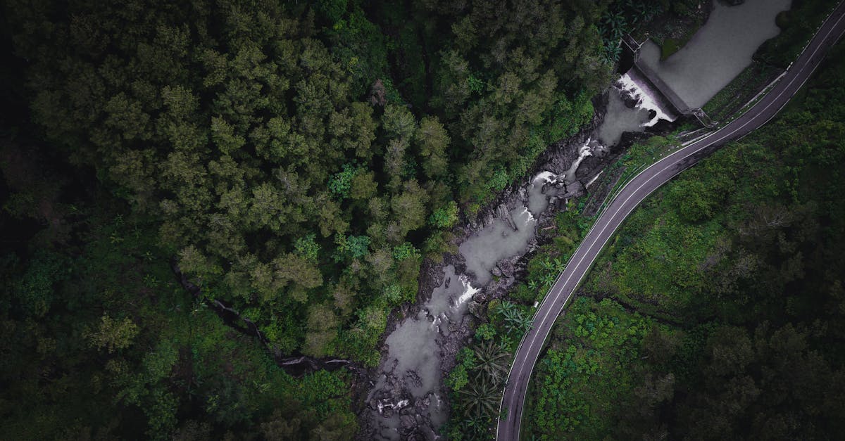 découvrez tout sur le drainage : ses techniques, ses avantages et son importance pour la gestion des eaux. apprenez comment maintenir votre espace sec et sain grâce à des solutions de drainage efficaces.