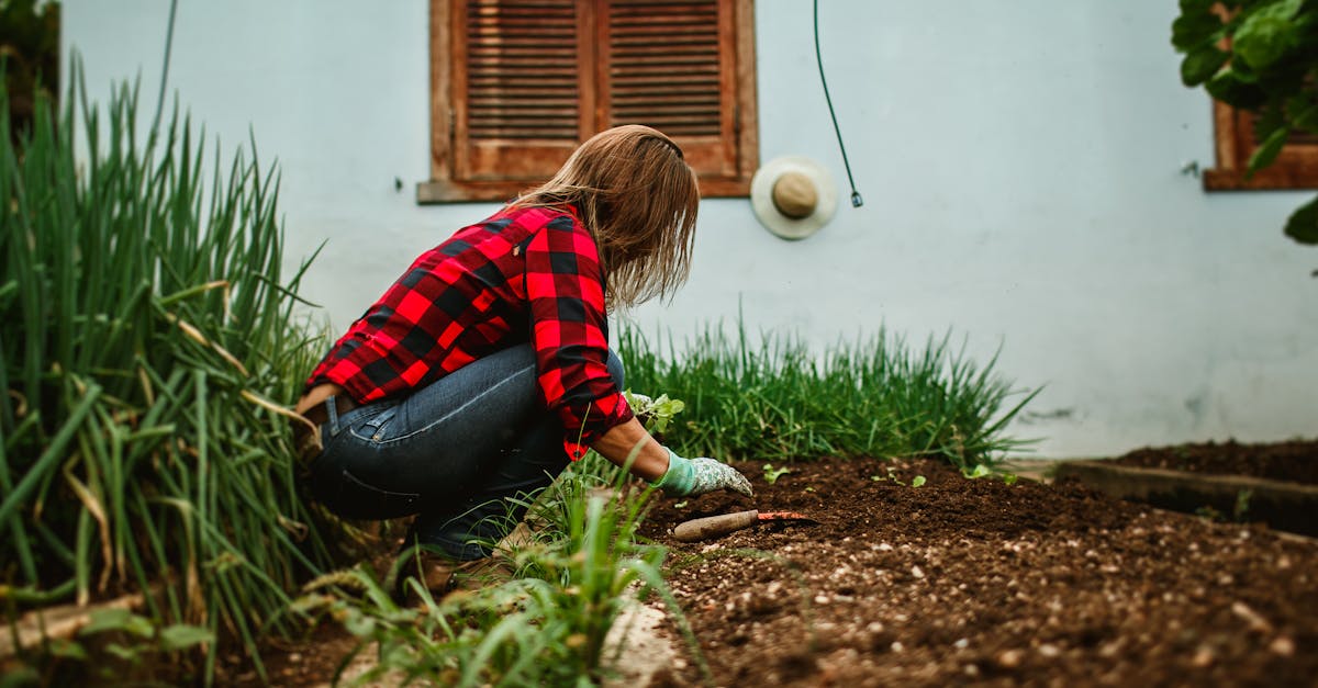 découvrez les bienfaits des légumes biologiques précoces, cultivés avec soin pour une saveur incomparable et une qualité optimale. profitez de notre sélection de légumes frais et sains, directement de la ferme à votre assiette.