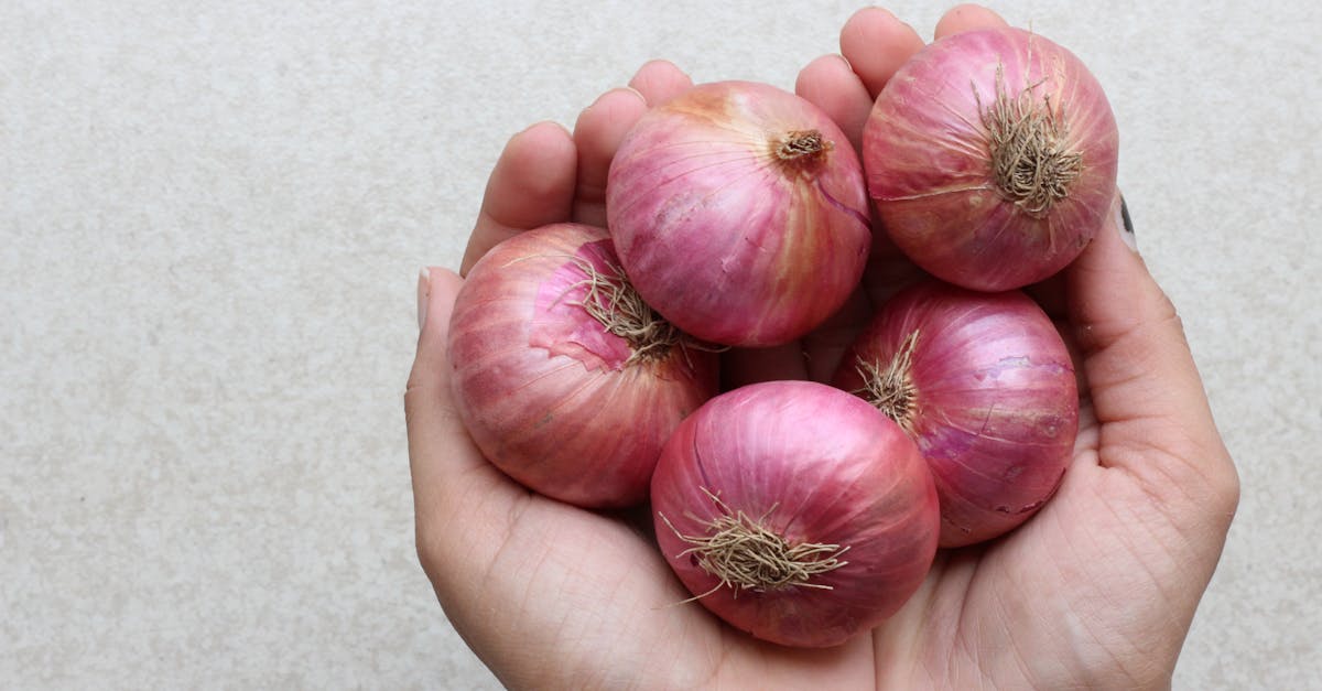 découvrez comment cultiver facilement des légumes biologiques chez vous. nos conseils pratiques et astuces pour un jardinage efficace vous aideront à profiter de récoltes saines et savoureuses tout au long de l'année.