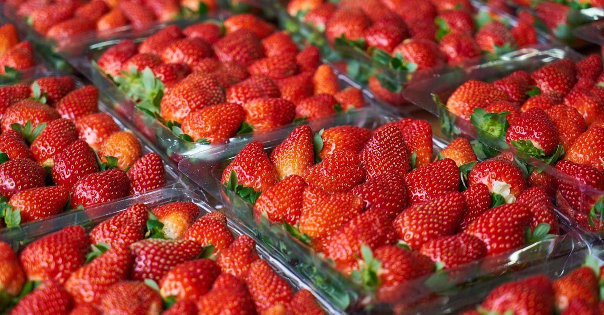 découvrez l'univers du jardinage comestible : apprenez à cultiver vos propres fruits, légumes et herbes aromatiques dans votre jardin ou sur votre balcon. transformez votre espace en un potager écoresponsable et savourez des aliments sains, frais et bio.