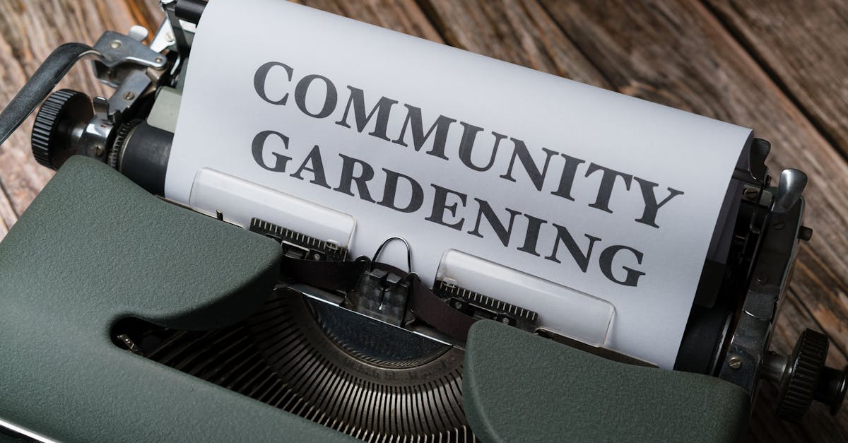 découvrez le plaisir du jardinage comestible avec nos conseils pratiques et astuces pour cultiver vos propres fruits, légumes et herbes. transformez votre espace extérieur en un véritable potager et savourez des récoltes fraîches et saines.