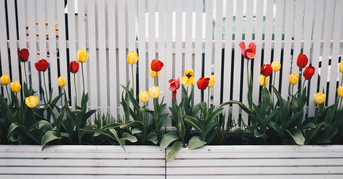 découvrez notre sélection de clôtures de qualité, idéales pour sécuriser votre jardin tout en apportant une touche esthétique à votre espace extérieur. choisissez parmi divers styles et matériaux pour répondre à tous vos besoins.