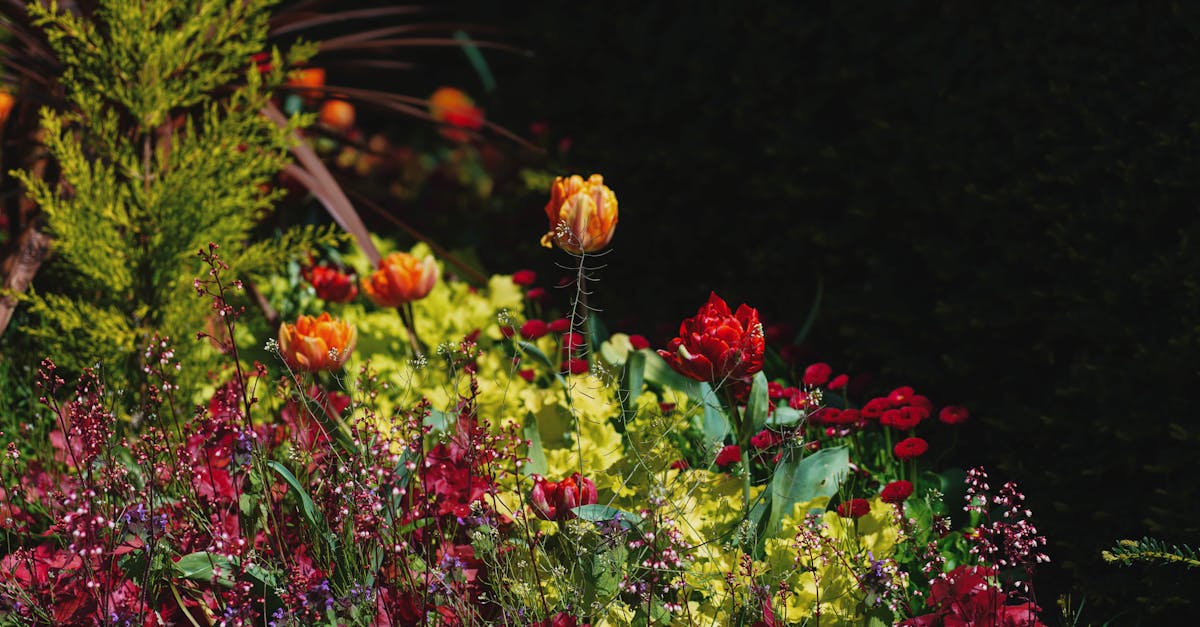 découvrez nos idées créatives pour aménager des parterres de jardin. transformez votre espace extérieur avec des solutions de jardinage innovantes et esthétiques, adaptées à tous les styles et budgets.