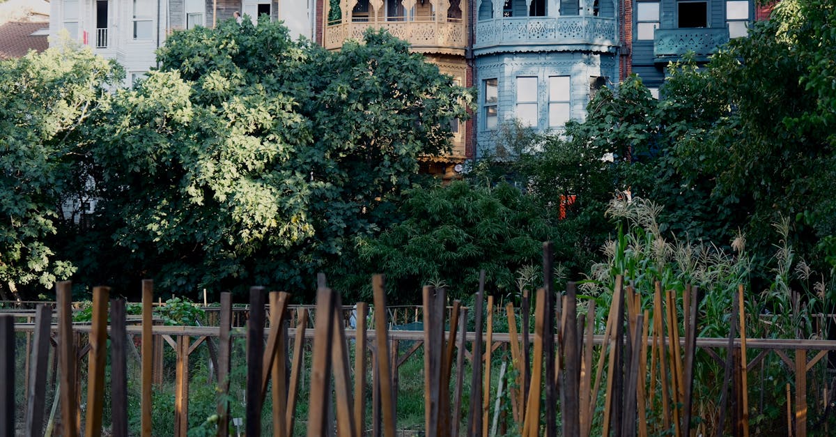 découvrez nos lits de jardin innovants pour transformer votre espace extérieur en un véritable havre de paix. faciles à installer et à entretenir, ces jardins surélevés sont idéaux pour cultiver vos plantes et fleurs préférées tout en ajoutant une touche décorative à votre jardin.