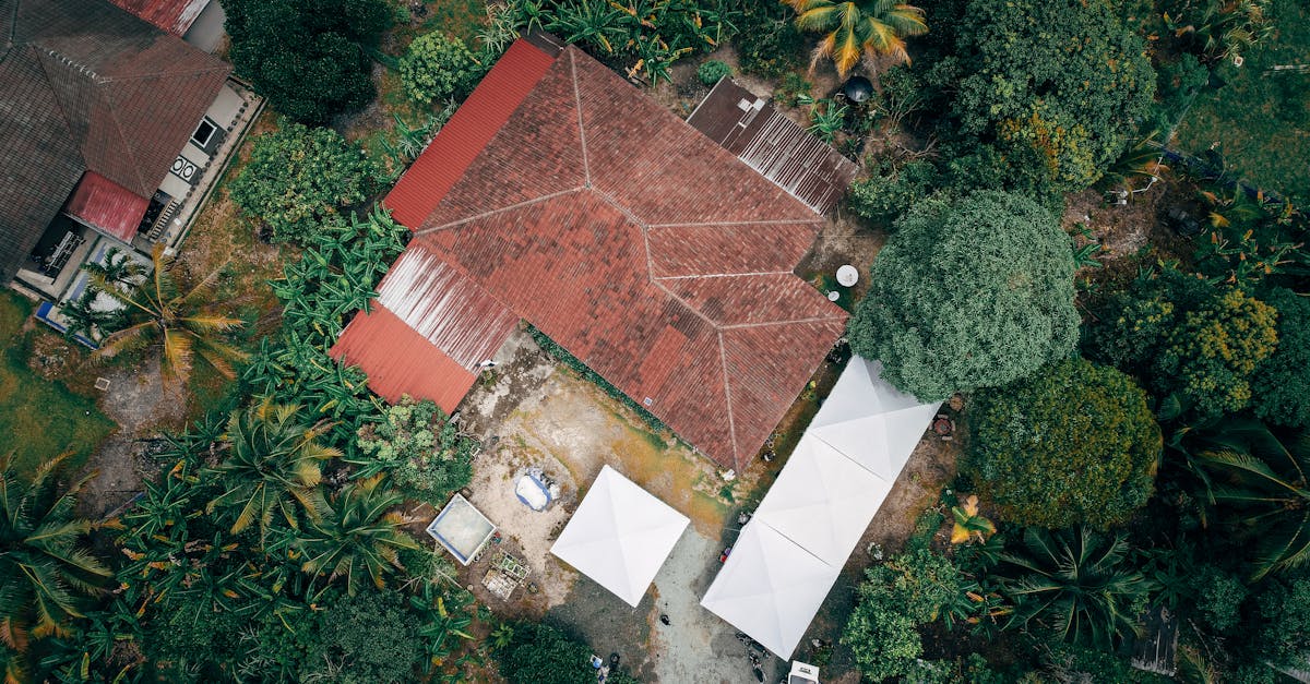 découvrez notre service de location de jardins, parfait pour vos événements en plein air. profitez d'espaces verts idylliques, accessibles et adaptés à toutes vos célébrations, que ce soit pour un mariage, un anniversaire ou un pique-nique en famille.