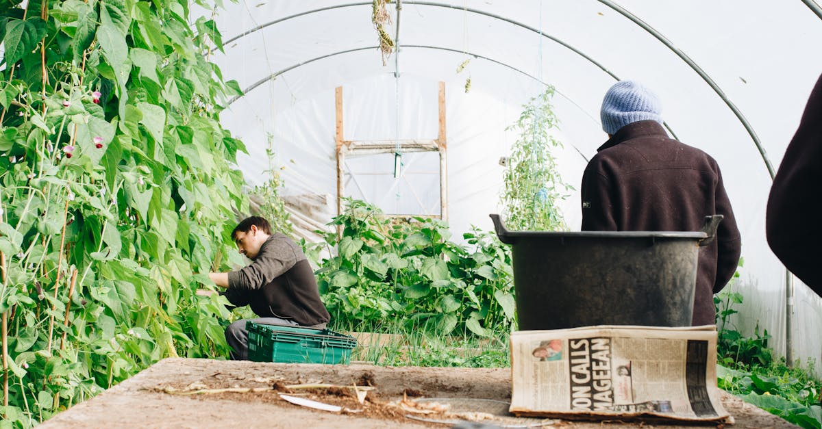 découvrez l'art du jardinage ! apprenez les meilleures techniques pour cultiver vos plantes, entretenir votre jardin et créer un espace vert épanouissant. que vous soyez débutant ou jardinier expérimenté, trouvez des conseils pratiques et des inspirations pour embellir votre extérieur.