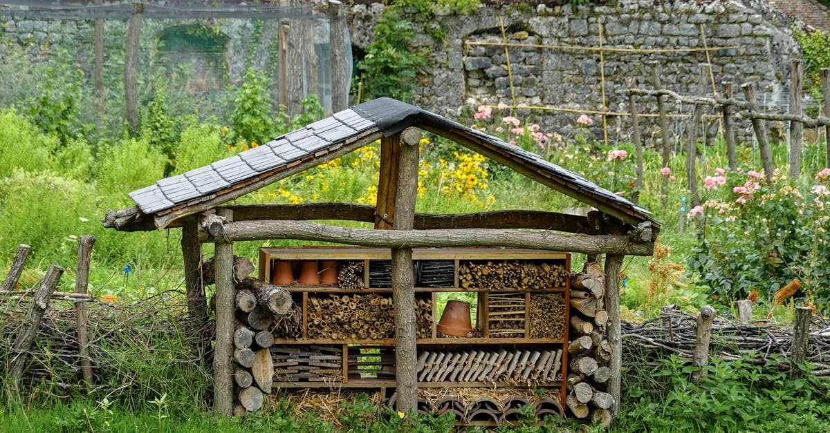 découvrez nos abris pour insectes, conçus pour protéger et attirer une variété d'insectes bénéfiques dans votre jardin. favorisez la pollinisation et la biodiversité tout en embellissant votre espace extérieur avec ces refuges écologiques.