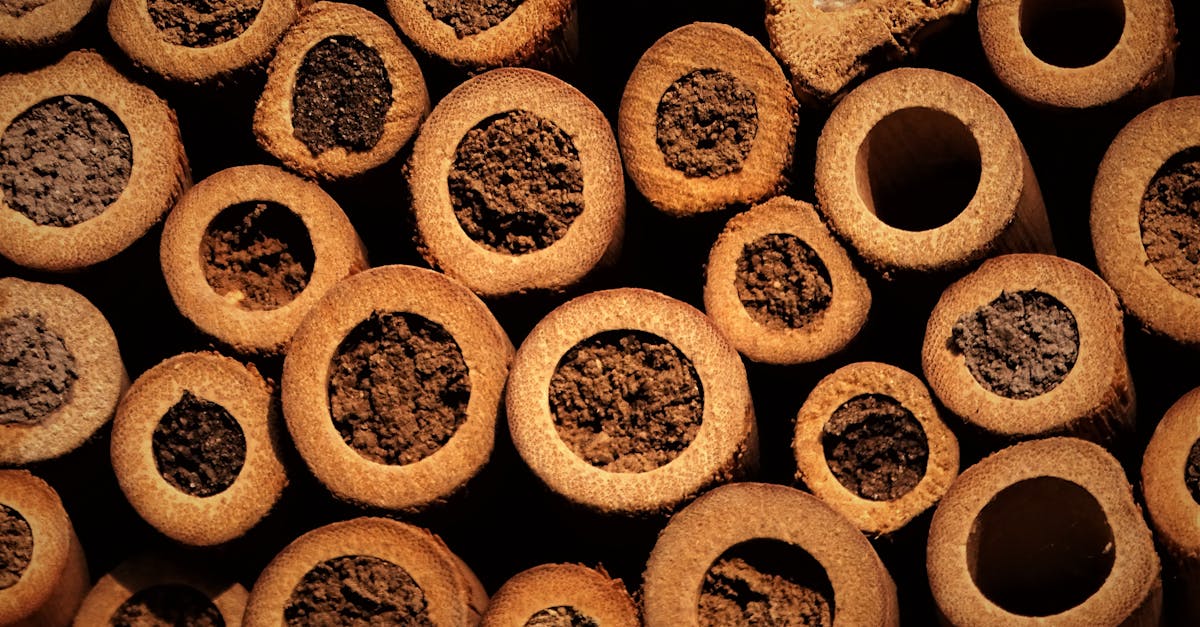 découvrez notre abri pour insectes, un refuge idéal pour favoriser la biodiversité dans votre jardin. contribuez à la pollinisation et à l'écosystème en offrant un habitat sécurisé à nos précieux amis à six pattes.