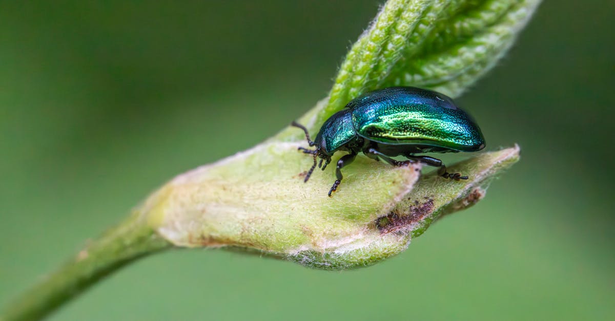 découvrez l'approche innovante de la lutte intégrée contre les nuisibles (ipm), qui combine des méthodes biologiques, culturelles et chimiques pour protéger vos cultures et améliorer la durabilité de l'agriculture. adoptez des pratiques respectueuses de l'environnement tout en assurant des récoltes saines.