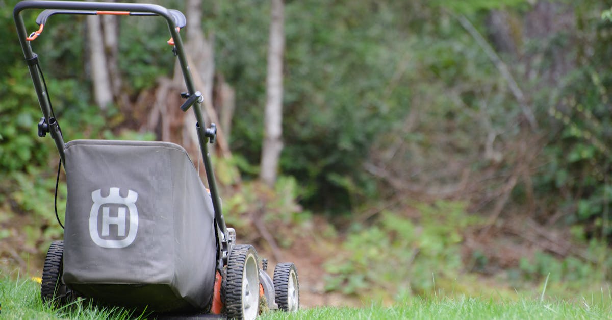 découvrez nos services de entretien de pelouse pour garder votre jardin verdoyant et bien entretenu. profitez d'une pelouse saine et esthétique toute l'année grâce à nos techniques professionnelles et notre expertise en entretien paysager.