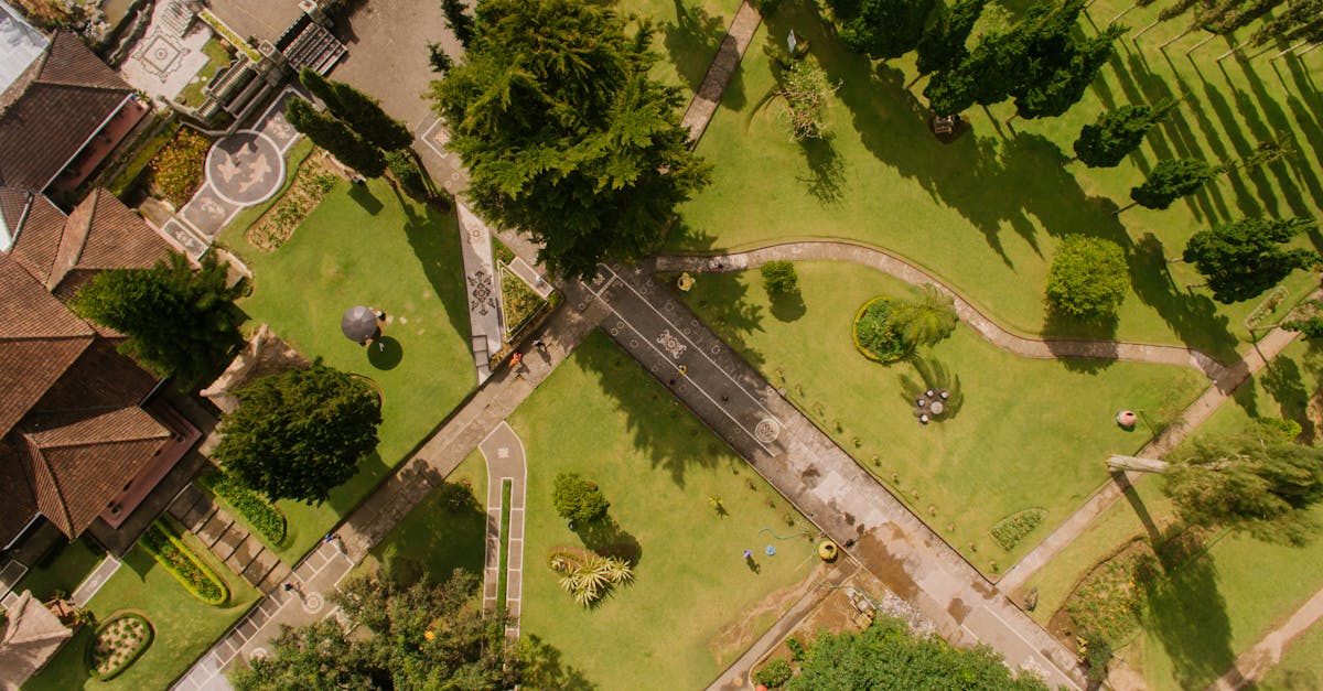 découvrez nos services professionnels d'entretien de pelouse pour un jardin toujours verdoyant et impeccable. profitez d'une pelouse saine et bien entretenue grâce à notre expertise en tonte, fertilisation et soins des plantes.