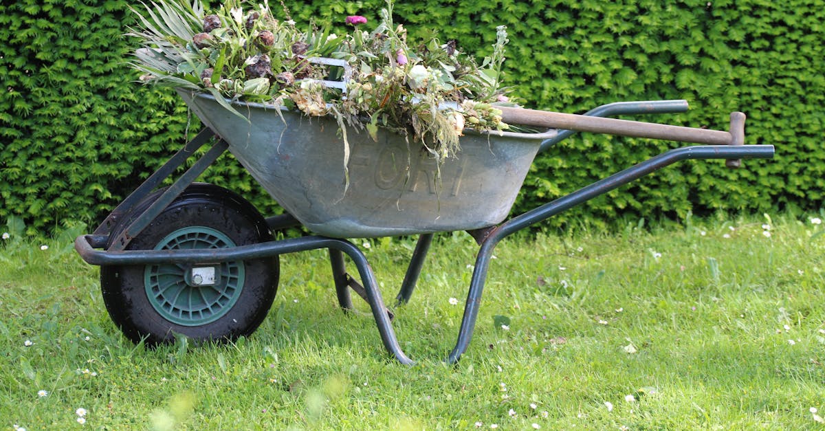 découvrez nos services de entretien de pelouse pour garder votre espace extérieur en parfait état. profitez d'un gazon verdoyant et sain grâce à nos experts en maintenance de pelouses.