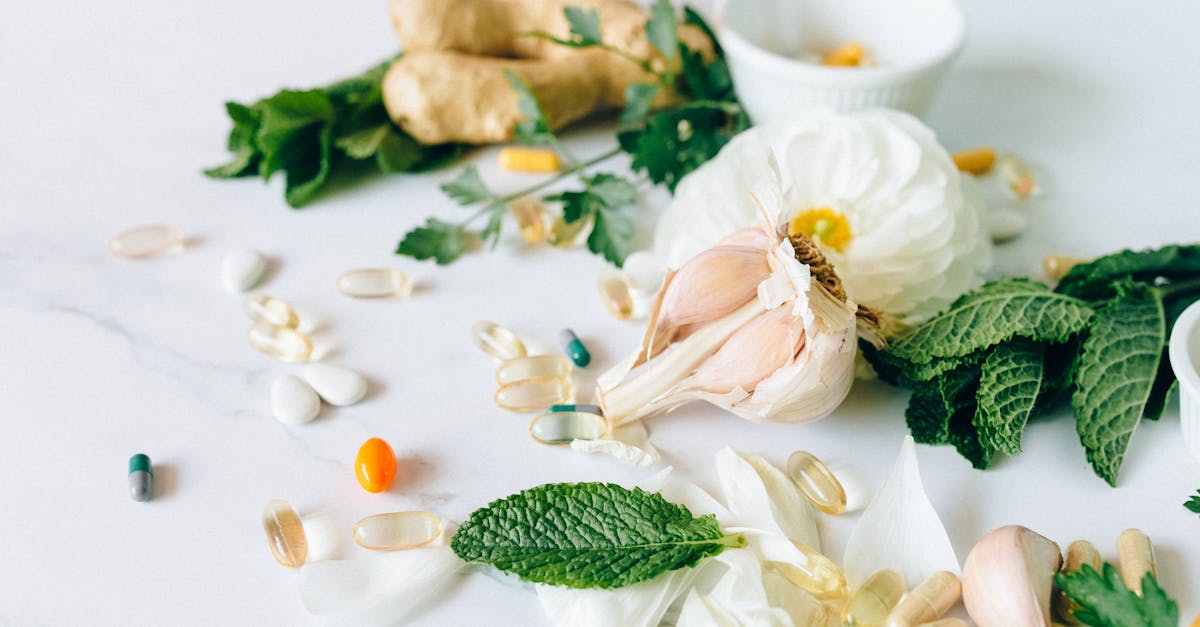 découvrez les bienfaits des plantes médicinales, leurs propriétés curatives, et comment les intégrer dans votre quotidien pour améliorer votre santé de manière naturelle.