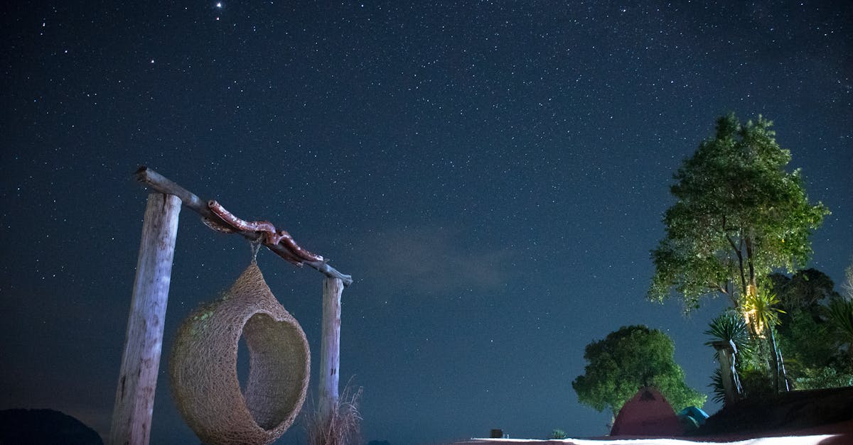 découvrez l'art du jardinage à la lune avec nos conseils pratiques et astuces pour cultiver vos plantes en harmonie avec les phases lunaires. optimisez la croissance de votre jardin en suivant le rythme naturel de la lune.