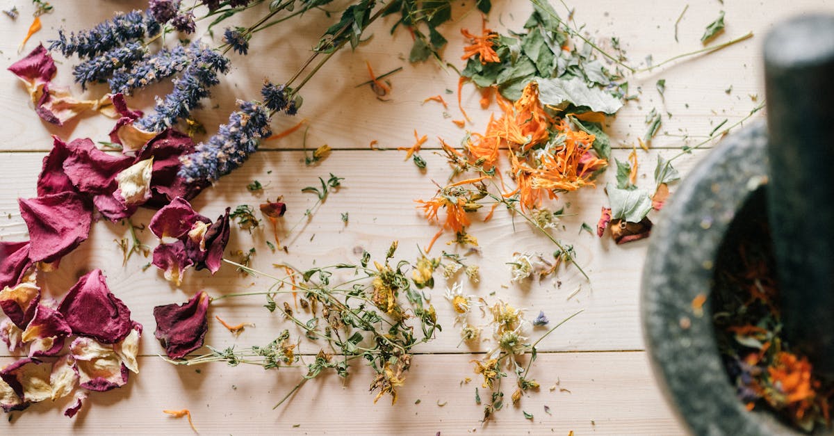 découvrez des alternatives naturelles pour améliorer votre bien-être et votre santé. explorez des solutions écologiques et efficaces pour un mode de vie sain.