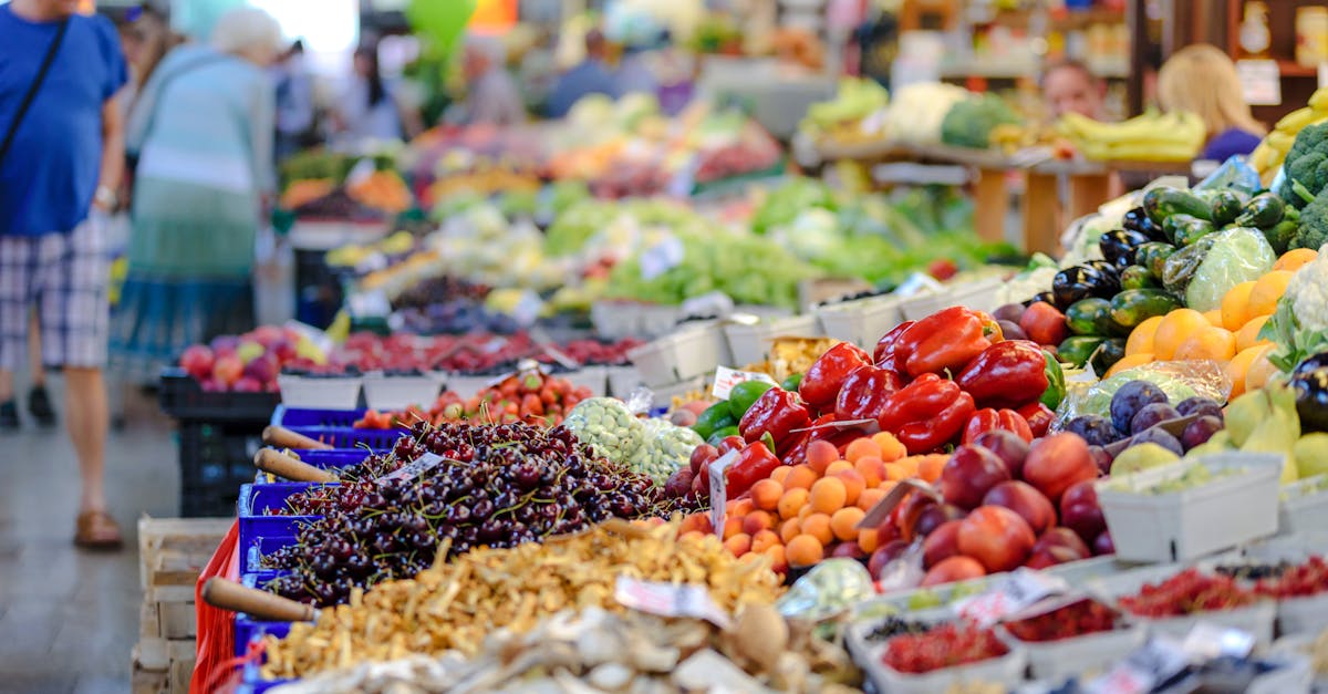 découvrez les bienfaits de l'organique : des produits naturels, respectueux de l'environnement et bons pour votre santé. adoptez un mode de vie sain avec notre sélection d'articles bio et éco-responsables.
