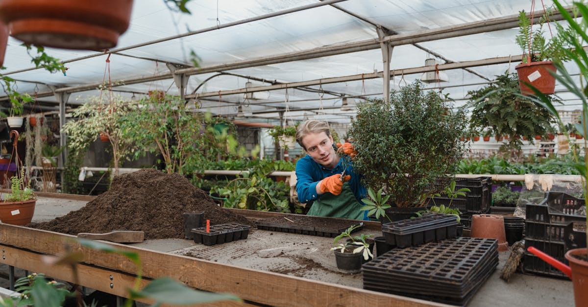découvrez notre compost biologique, une solution écologique pour enrichir votre sol et favoriser la croissance saine de vos plantes. fabriqué à partir d’ingrédients naturels, notre compost améliore la fertilité et la structure du sol tout en respectant l'environnement. optez pour un jardinage durable avec notre compost 100% organique.