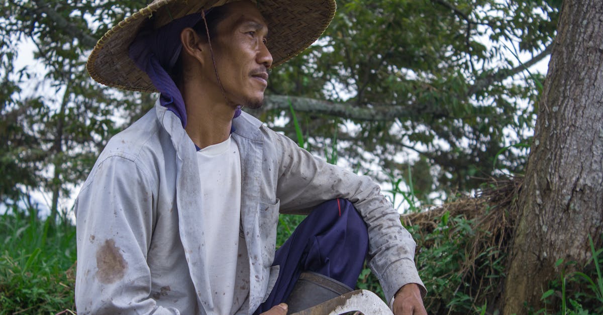 découvrez des solutions de protection des cultures biologiques pour préserver vos récoltes tout en respectant l'environnement. explorez des techniques innovantes et des produits naturels pour une agriculture durable et efficace.