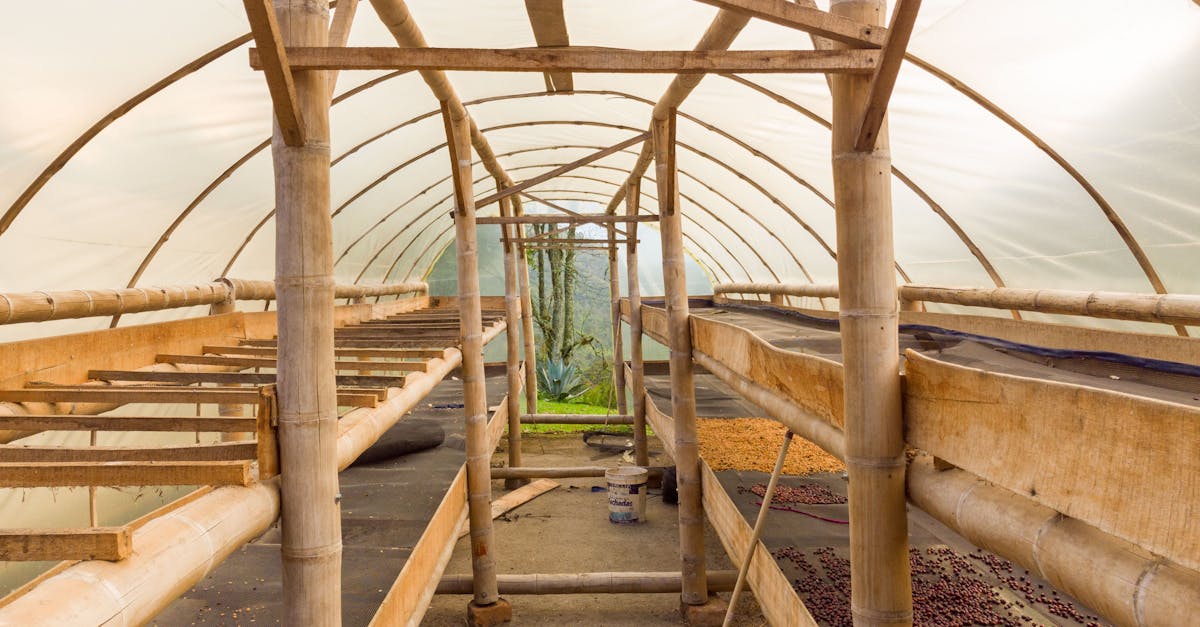 découvrez des solutions de protection des cultures bio, respectueuses de l'environnement et efficaces pour garantir la santé de vos récoltes. optez pour des méthodes naturelles qui préservent la biodiversité tout en maximisant vos rendements.