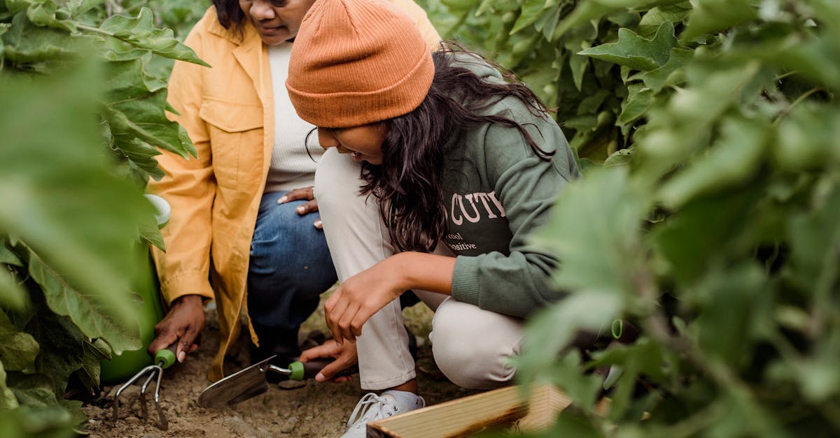 découvrez l'agriculture biologique : un mode de culture durable qui favorise la santé des sols, la biodiversité et la qualité des produits. explorez les avantages d'une alimentation saine et respectueuse de l'environnement.