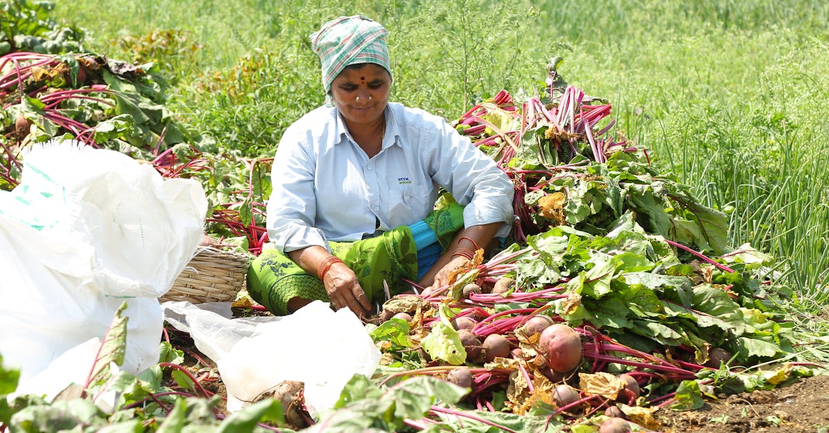découvrez les bienfaits des engrais organiques pour votre jardin. améliorez la santé de votre sol, favorisez la croissance de vos plantes et optez pour une solution écologique et durable. profitez d'une fertilisation naturelle qui respecte l'environnement!
