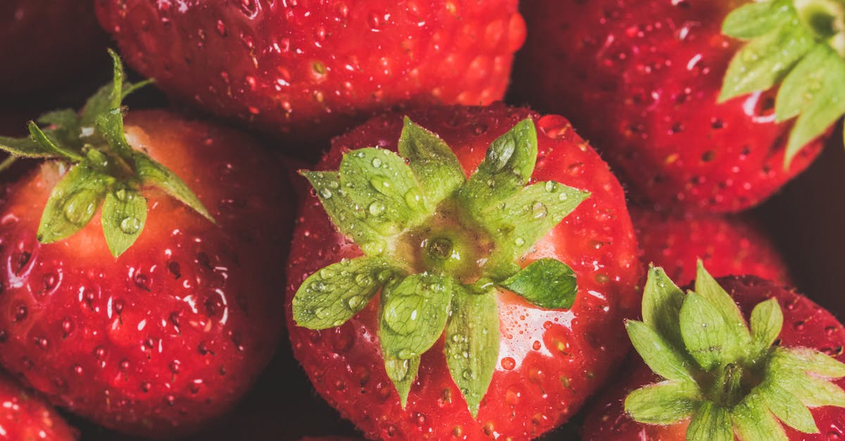 découvrez les secrets du jardinage de fruits biologiques pour cultiver vos propres délices naturels. apprenez les meilleures techniques, conseils et astuces pour réussir votre jardin tout en respectant l'environnement. transformez votre espace extérieur en un verger fructueux et savoureux!
