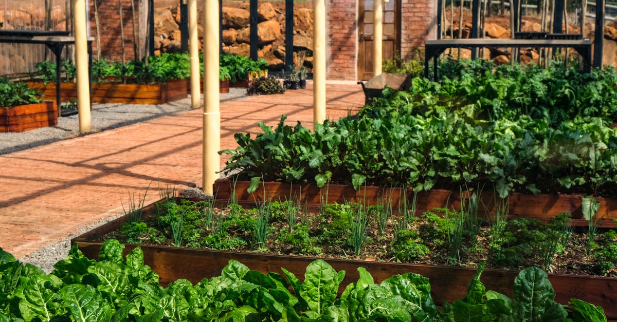 découvrez l'irrigation pour jardin biologique : des solutions efficaces et durables pour nourrir vos plantes tout en respectant l'environnement. optimisez vos ressources en eau et cultivez un jardin florissant grâce à des techniques d'irrigation écologique.