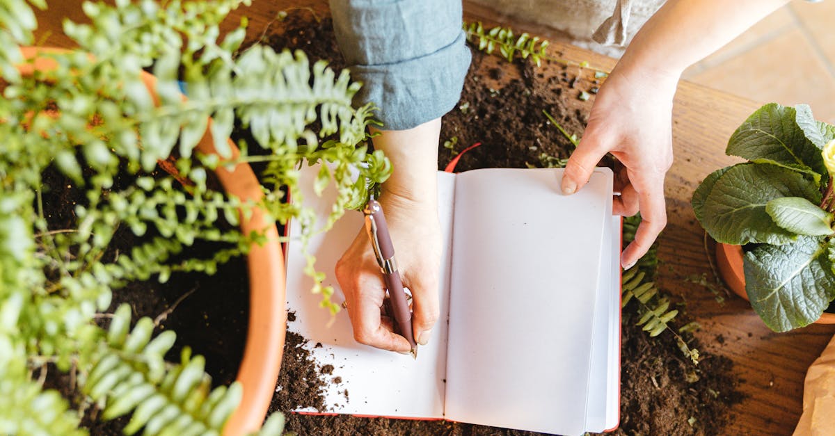 découvrez les bienfaits du jardinage biologique : des techniques respectueuses de l'environnement, des conseils pratiques pour cultiver vos végétaux sans produits chimiques, et des astuces pour préserver la biodiversité dans votre jardin.