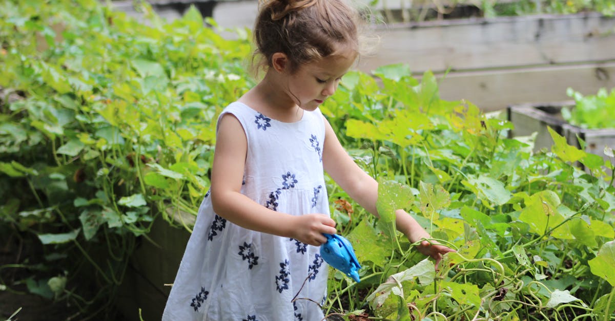 découvrez les bienfaits du jardinage biologique : des méthodes respectueuses de l'environnement, des conseils pratiques pour cultiver des légumes et des plantes saines, et des techniques durables pour enrichir votre jardin tout en préservant la biodiversité.